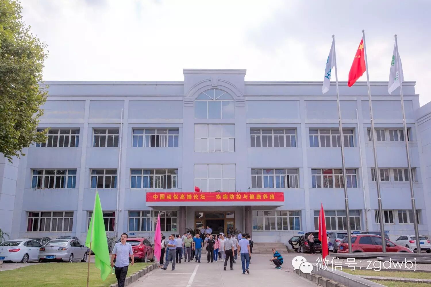 解码家禽疫病现状，专家支招防控