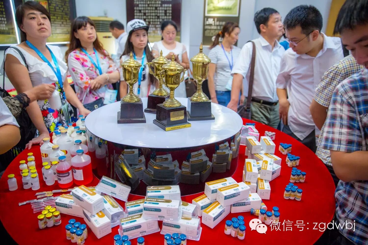 解码家禽疫病现状，专家支招防控