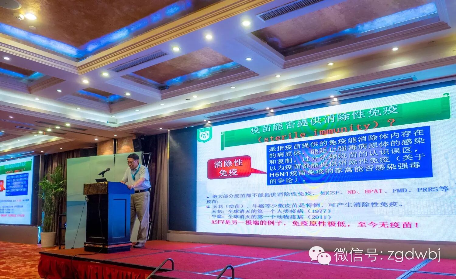 解码家禽疫病现状，专家支招防控