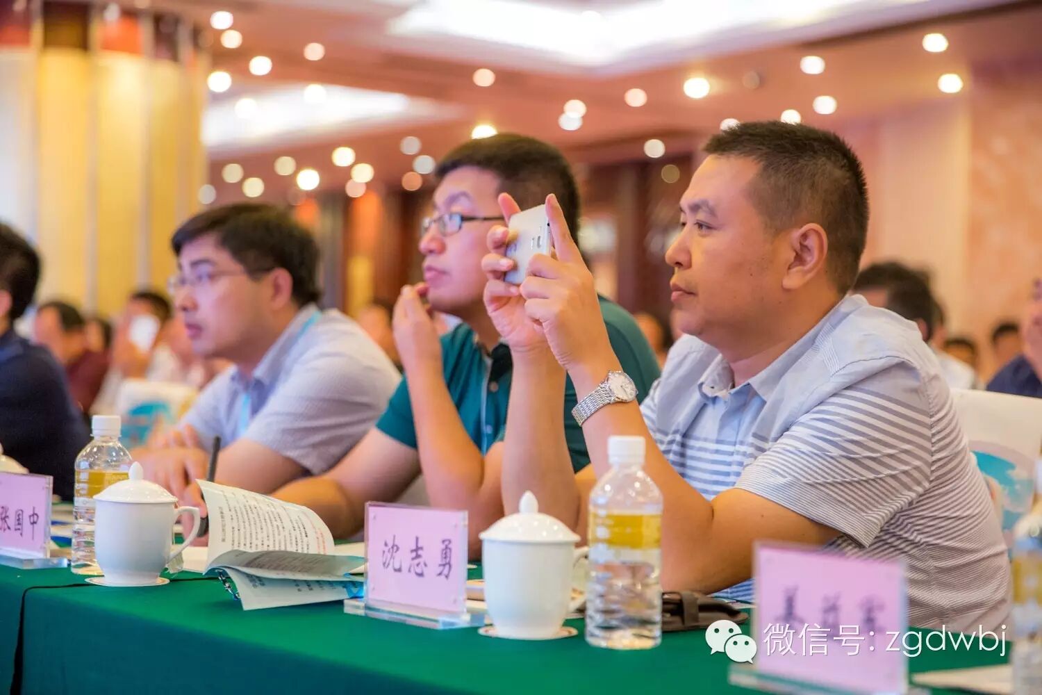 解码家禽疫病现状，专家支招防控