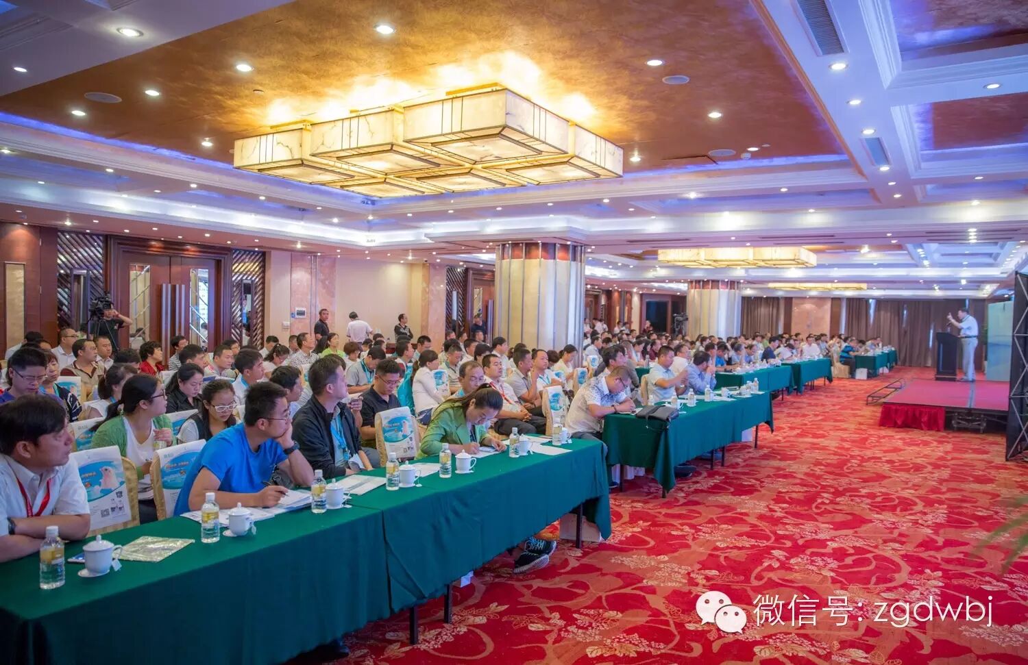 解码家禽疫病现状，专家支招防控