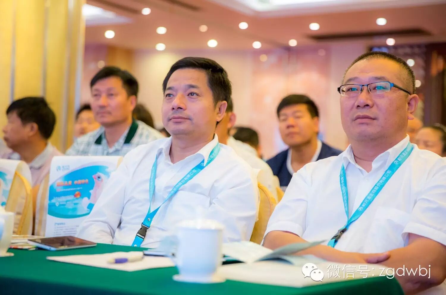 解码家禽疫病现状，专家支招防控