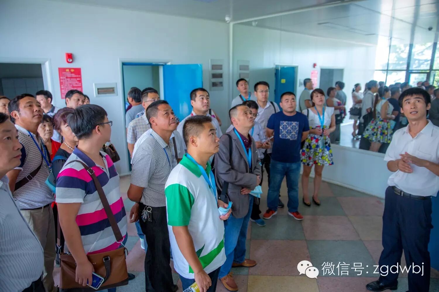 解码家禽疫病现状，专家支招防控