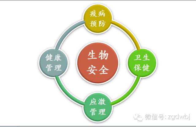 水禽、生物安全专题