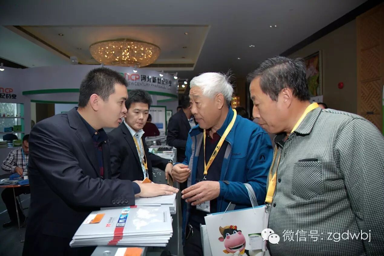 2015中国奶牛业大会今日开幕  聚焦产业转型升级，健康发展