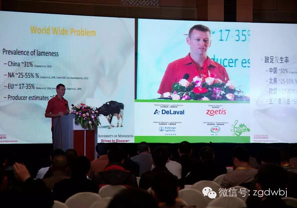 2015中国奶牛业大会今日开幕  聚焦产业转型升级，健康发展