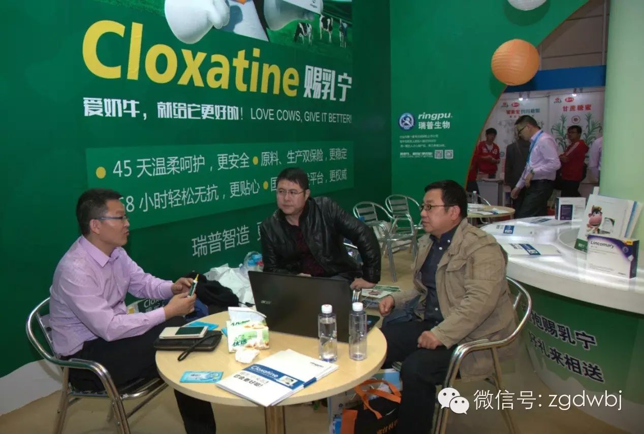 2015中国奶牛业大会今日开幕  聚焦产业转型升级，健康发展