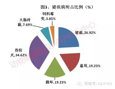 8月猪场疫病分析