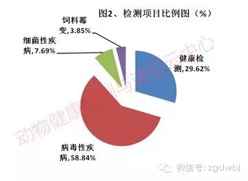 8月猪场疫病分析