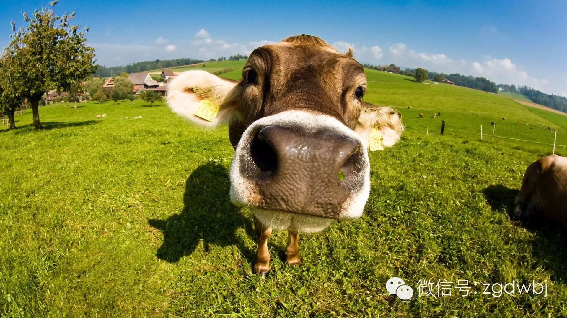 国际再报新疫情