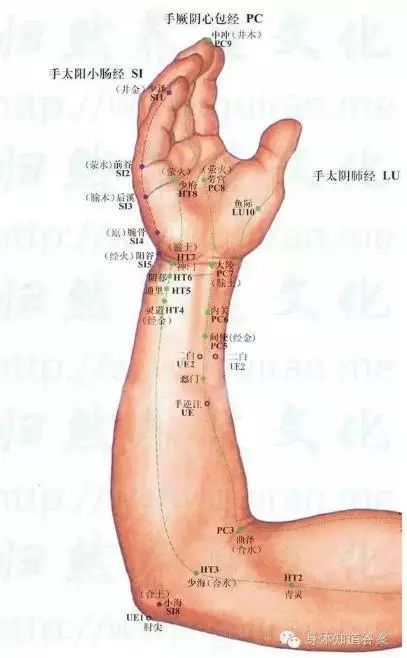 女性的"五脏六腑"经络养生法