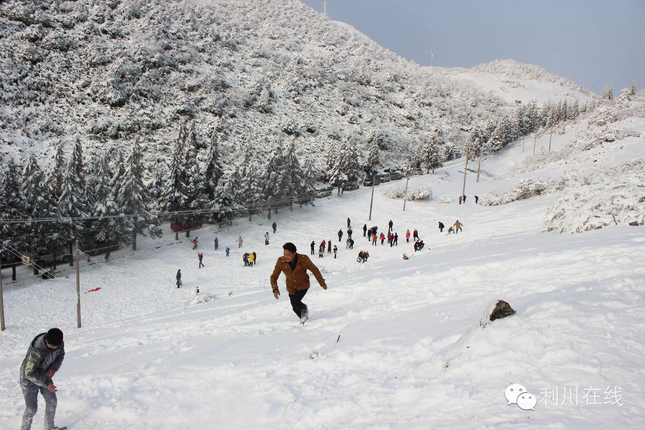 和你在利川齐岳山赏雪,滑雪,是如此浪漫!