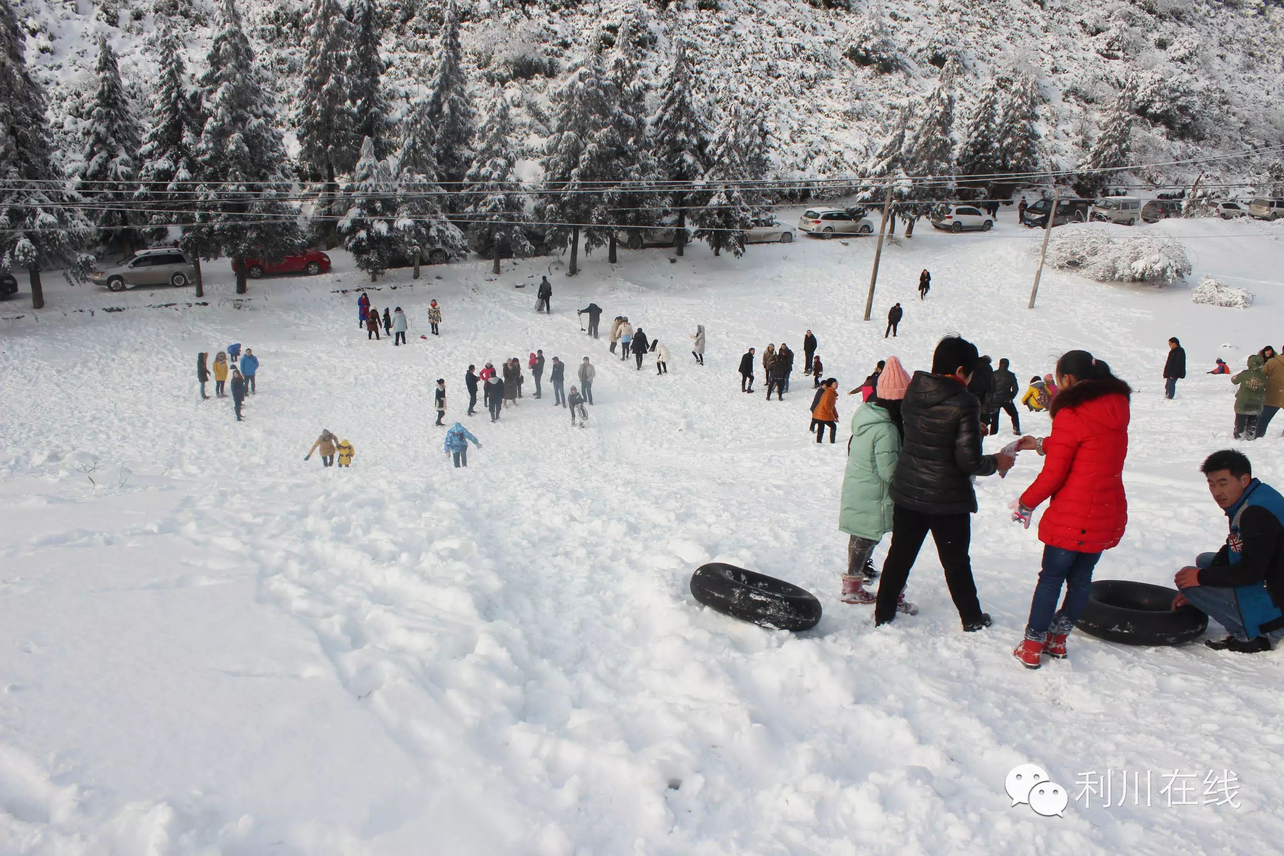 和你在利川齐岳山赏雪,滑雪,是如此浪漫!