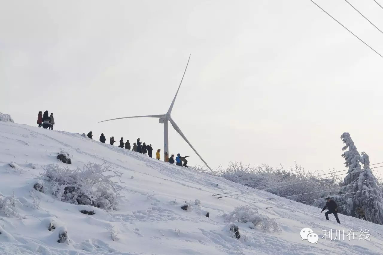 和你在利川齐岳山赏雪,滑雪,是如此浪漫!