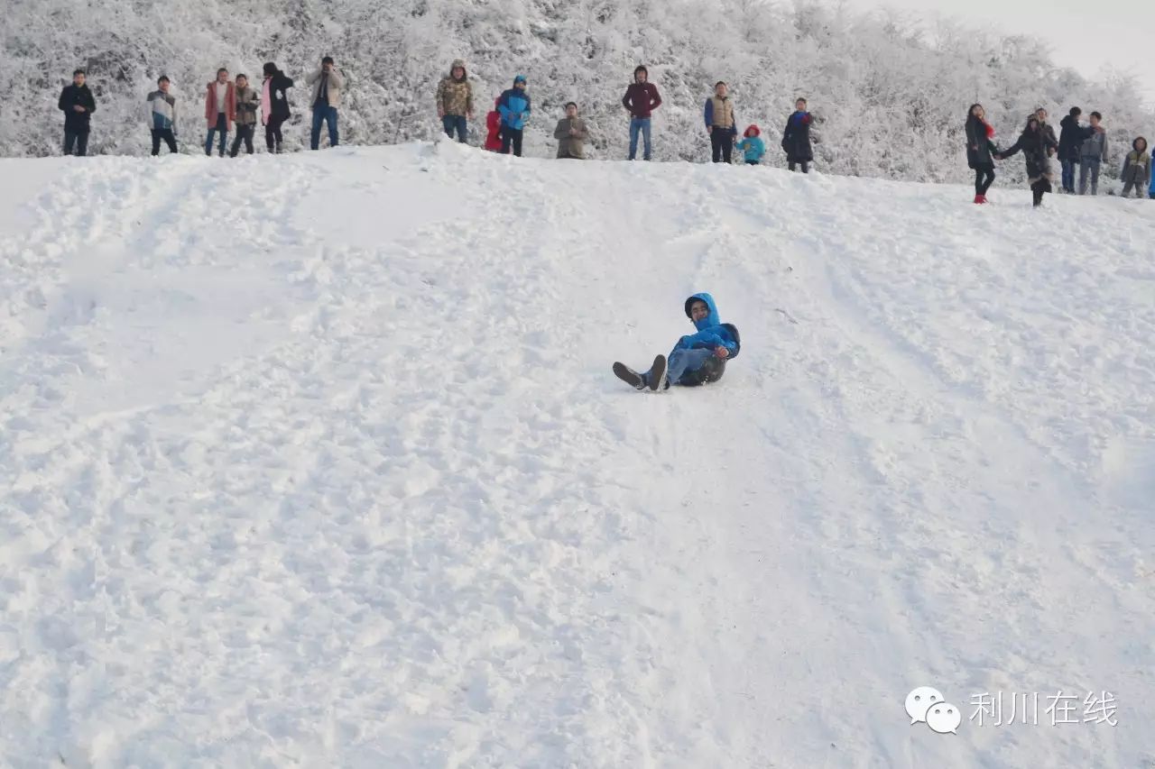 和你在利川齐岳山赏雪,滑雪,是如此浪漫!