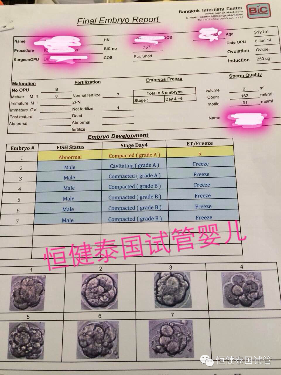 泰国试管婴儿检查报告图