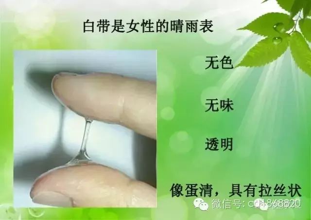 阵发性排出者应注意有输卵管癌的可能. 2,脓性白带