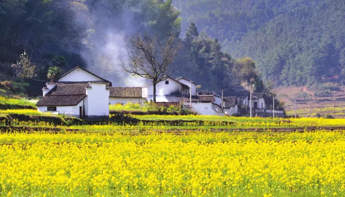 【政策解读】《美丽乡村建设指南》新鲜出炉,指引乡村