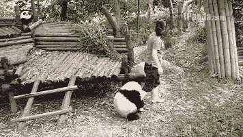 椒言瞎丨传说中最经常被抱大腿的职业