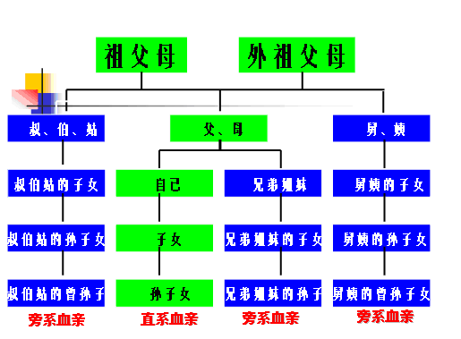 法律百科 婚姻家庭 正文    旁系血亲是具有间接血缘关系的亲属,即非