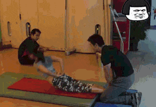 泷泽萝拉是什么花?为什么好多人求种子?