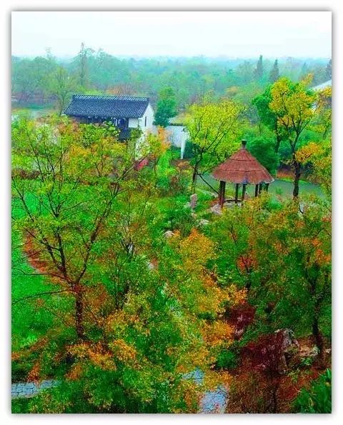 今天11月17日，凌晨刚刚发生的，太漂亮了，不发出来对不起大家！