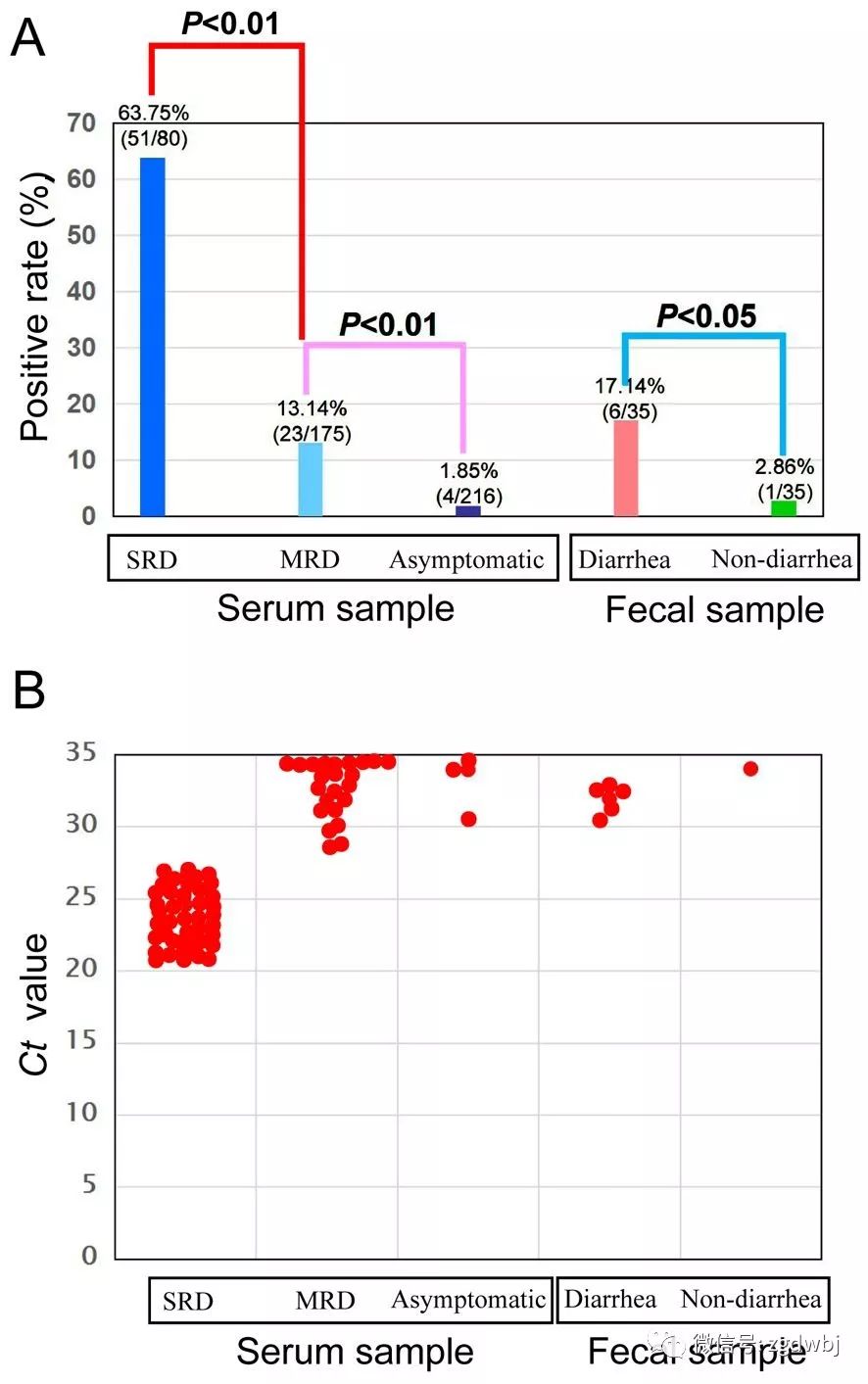 《Virology Journal》比较流行病学揭示PCV3潜在的致病机制