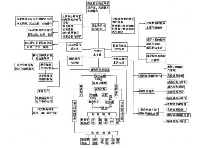 高中生物思维导图来袭,同学们快快收藏分享!