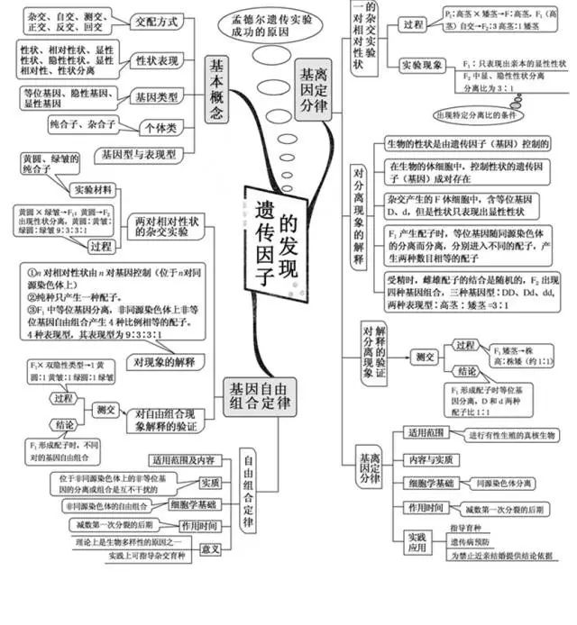 高中生物思维导图来袭,同学们快快收藏分享!