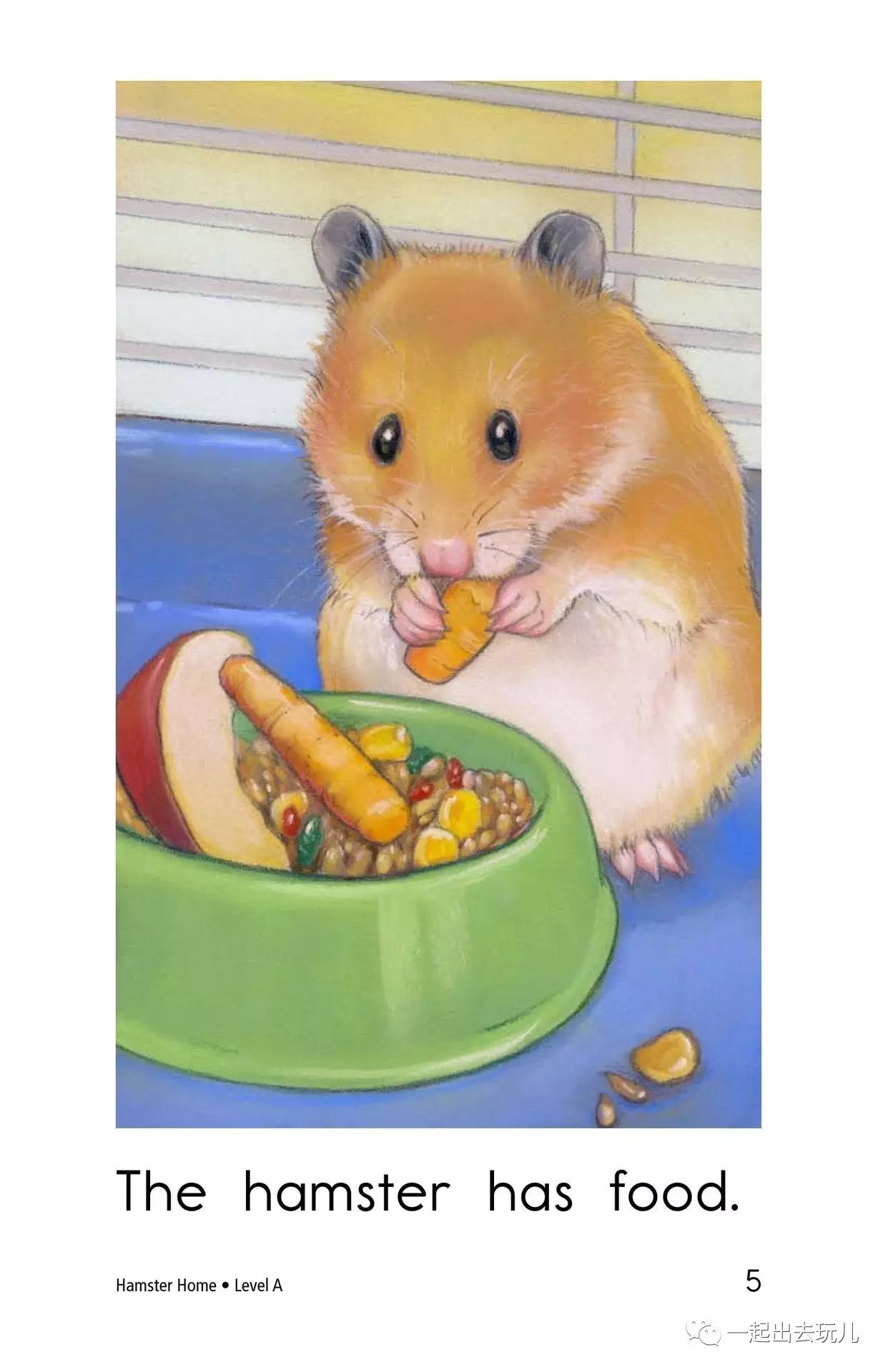 hamsterhome