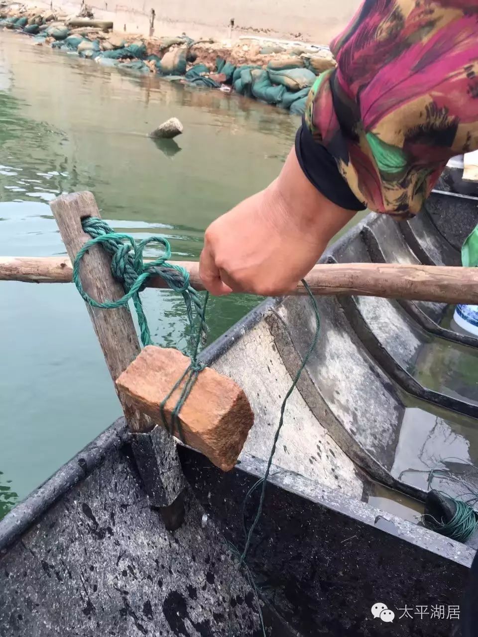 渔家姐划桨到了之前放篓的岸边,把船停稳,扔一栓了绳子的砖头入水