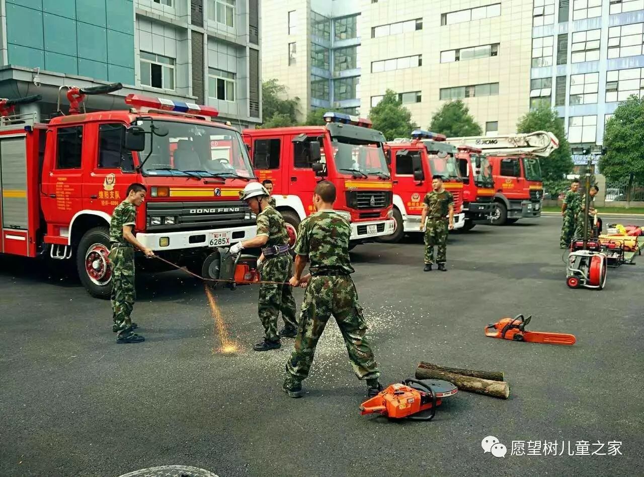 愿望树的神奇巴士|再访消防队