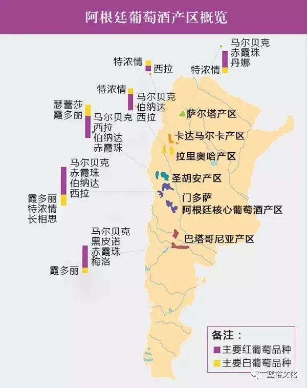 阿根廷是目前世界第五大葡萄酒出产国,然而其葡萄酒业的腾飞