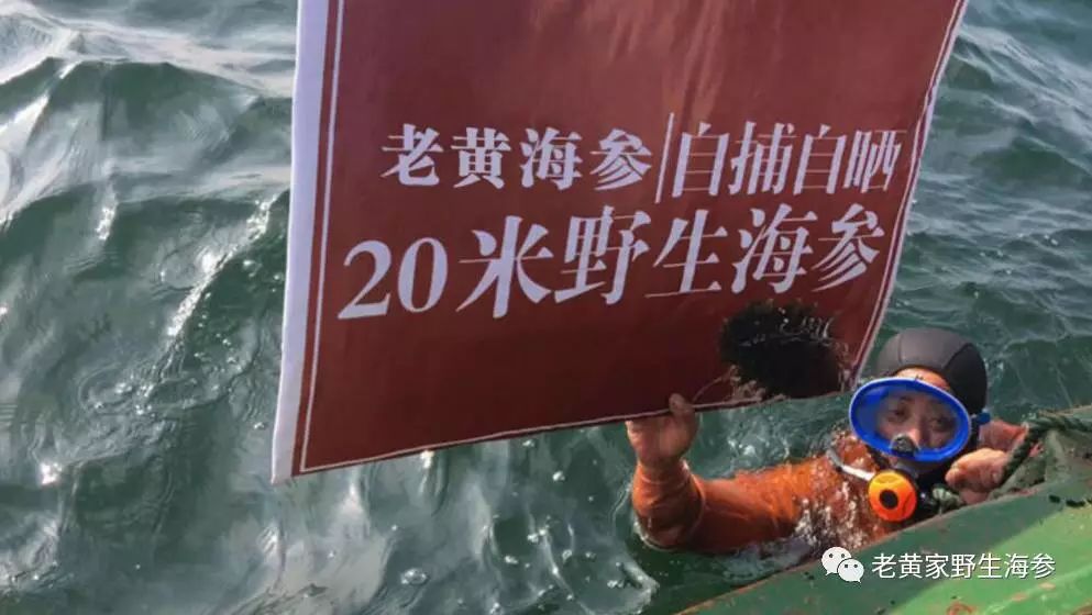 震惊! 这个淄博大姐拍案而起, 揭开了海参行业的“黑幕”!