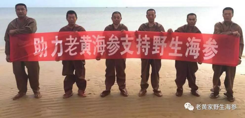 震惊! 这个淄博大姐拍案而起, 揭开了海参行业的“黑幕”!