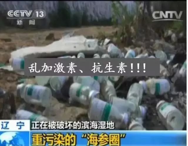 震惊! 这个淄博大姐拍案而起, 揭开了海参行业的“黑幕”!