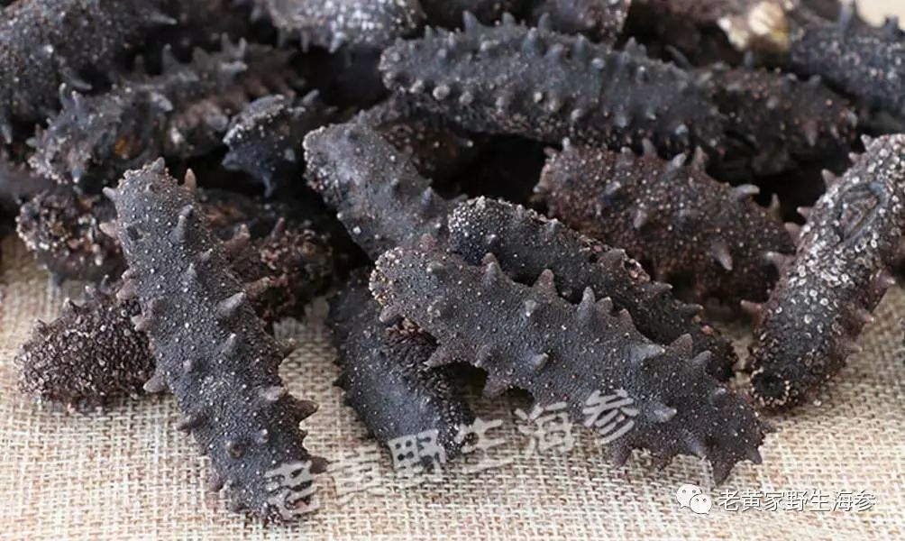 震惊! 这个淄博大姐拍案而起, 揭开了海参行业的“黑幕”!