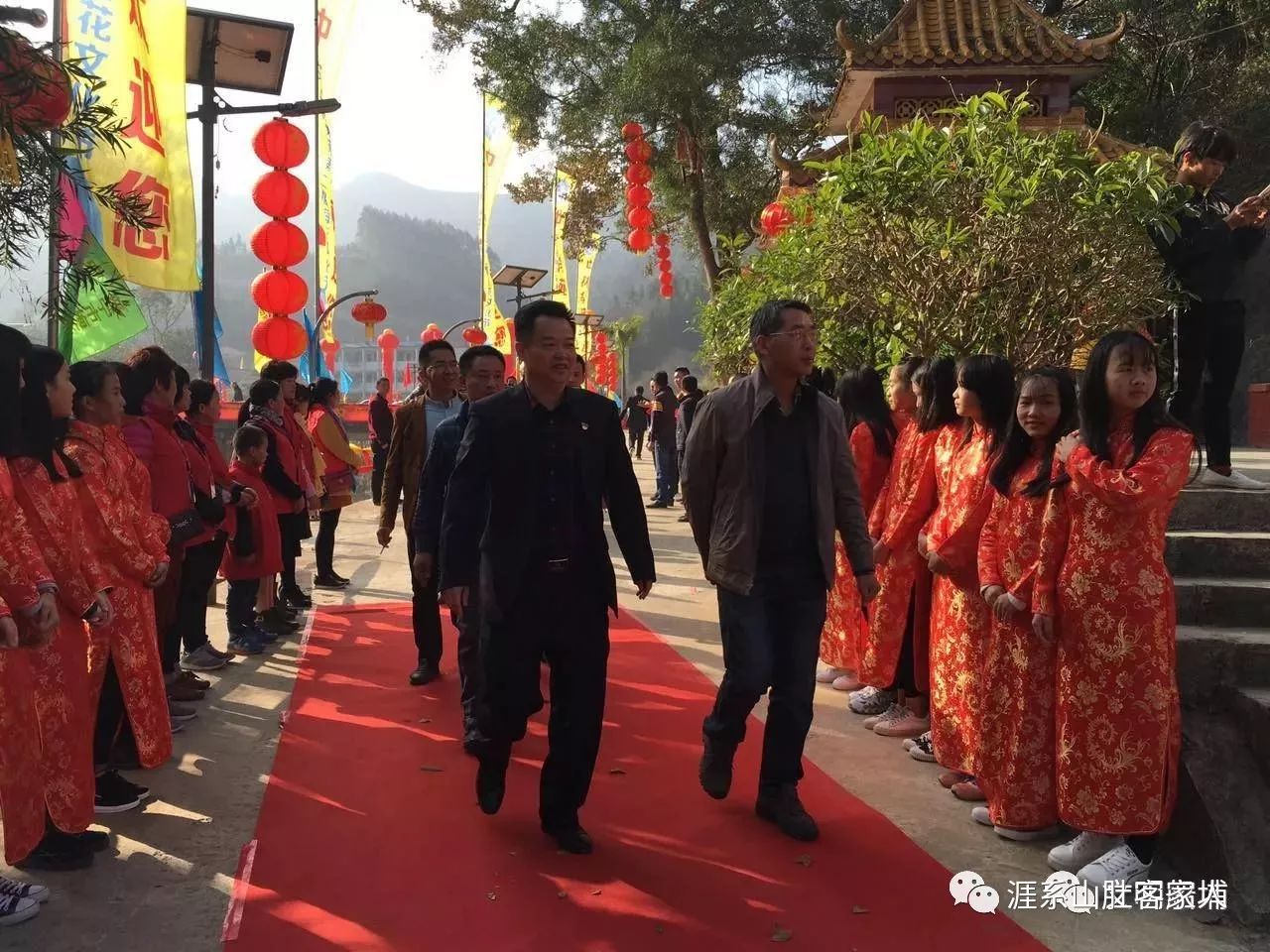 梅花飘香的日子里,第三届普宁梅花旅游文化节船埔镇景区—普宁市中