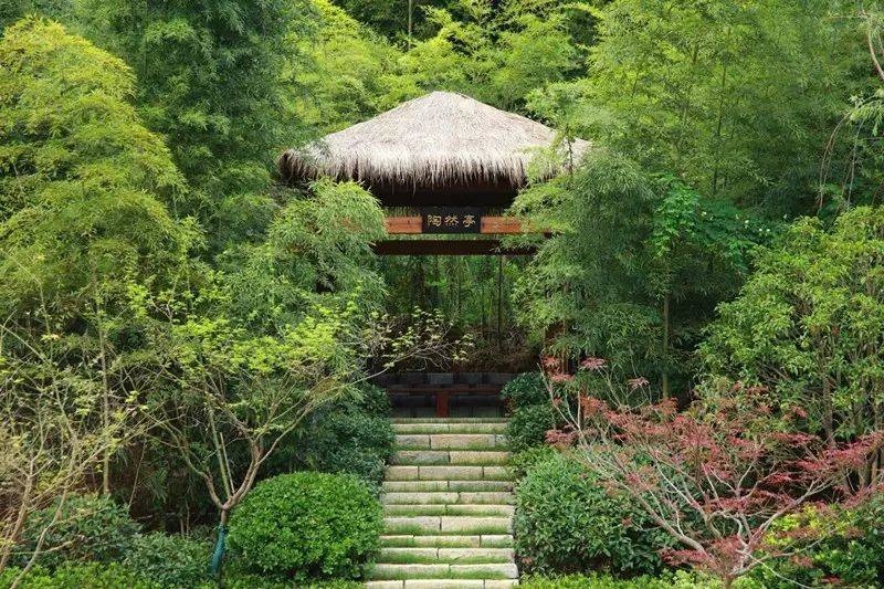 紧邻被誉"小九寨沟"之称的石塘竹海景区