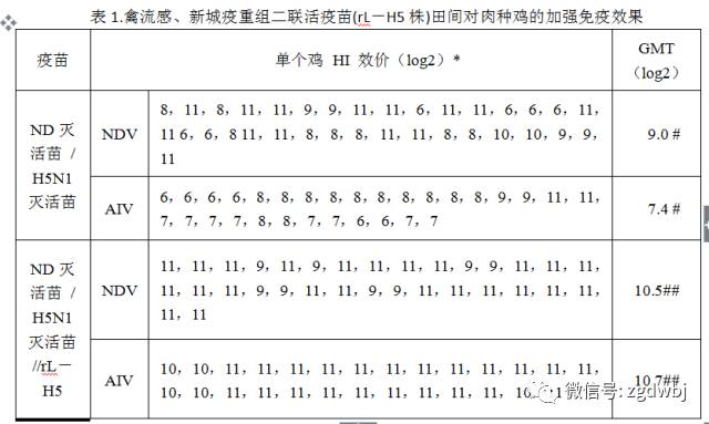 “活+死”疫苗免疫是控制禽流感的最佳方案