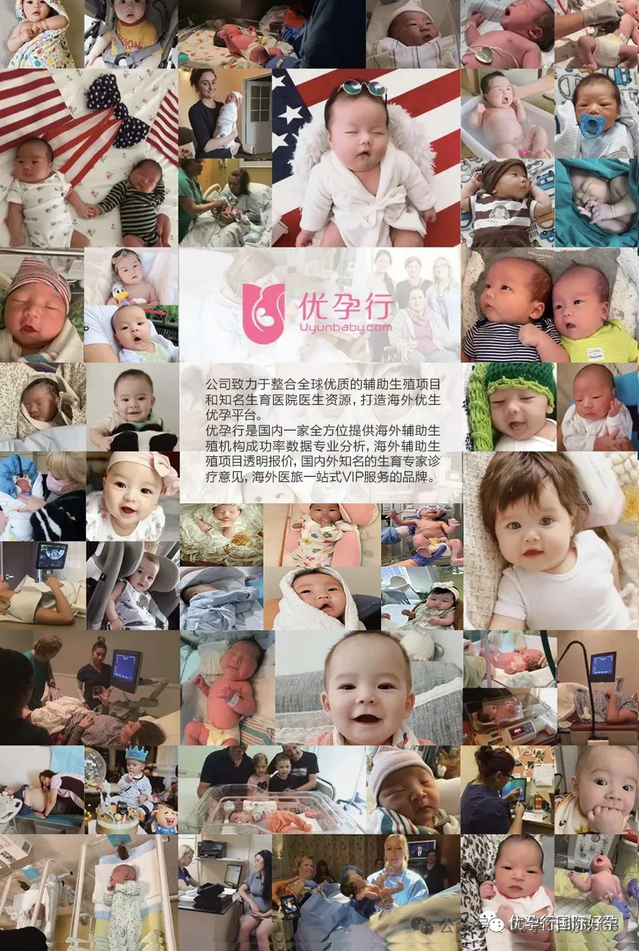 试管之路，圆梦之地；我们的试管机构为您的生育梦想保驾护航