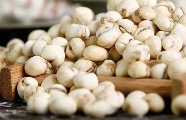 两味中药的小组方，专治肺热咳嗽，止咳化痰，清肺润燥。