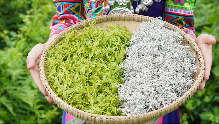 这样“排毒”，不知毁掉了多少人