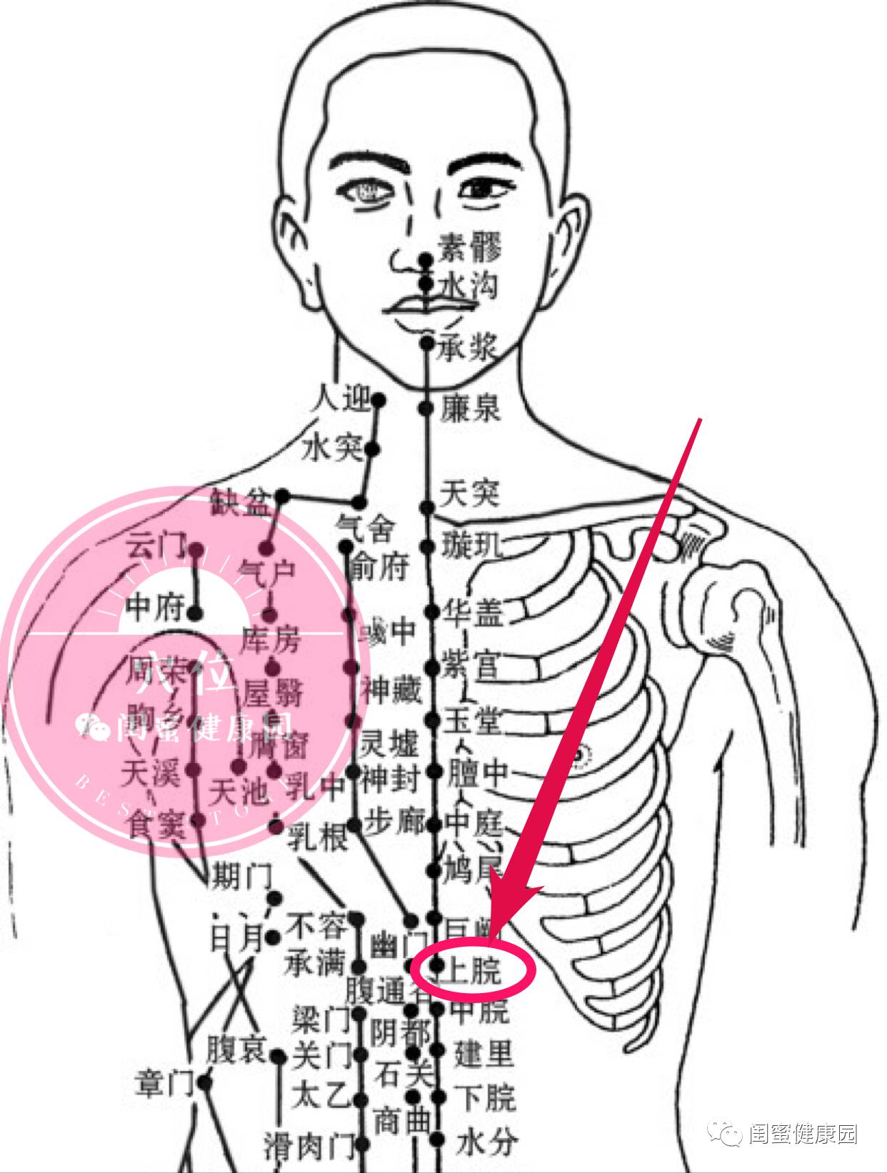 上脘穴