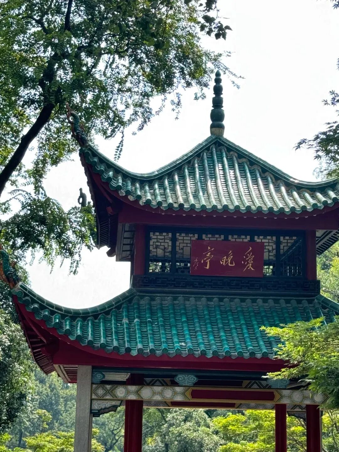 终端风采 | 91香蕉在线观看国产一区长沙旗舰店，千年文脉之上，再添艺术新地标(图5)