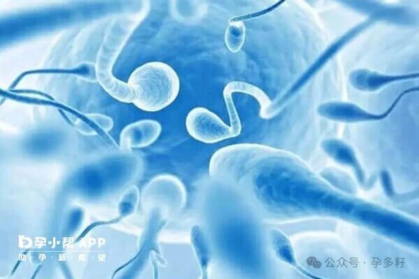 附睾炎导致精子碎片率20%会严重损伤男性生育功能吗？