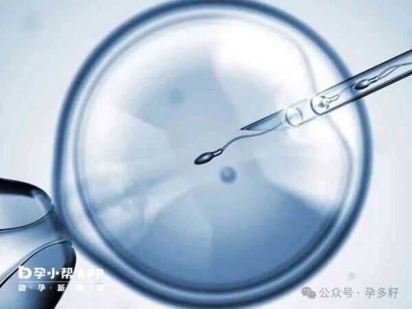 囊胚移植后内膜、染色体异常仍会胎停，这3件事提前做很有必要