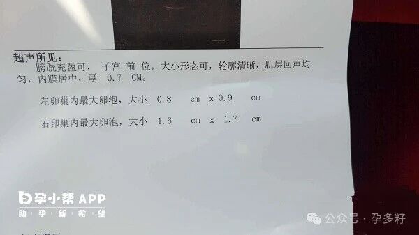 试管婴儿卵子排出后能活4天吗？医生：一般12-24小时