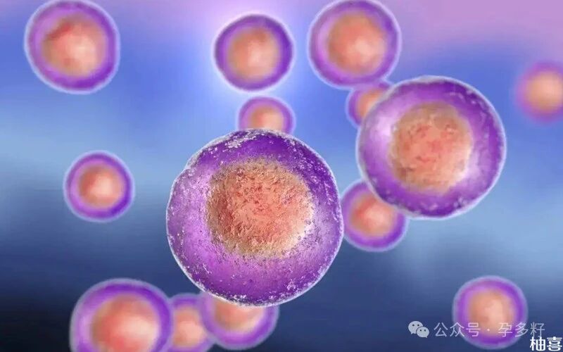 中药促排卵生双胞胎方子大全，怎么服用、吃多久尽数科普