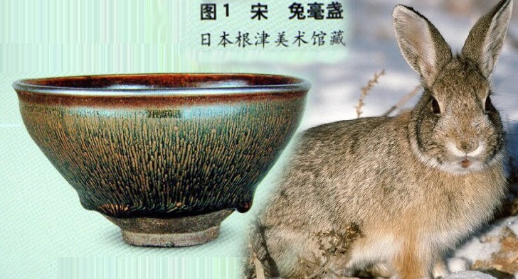 天目杯为何物？